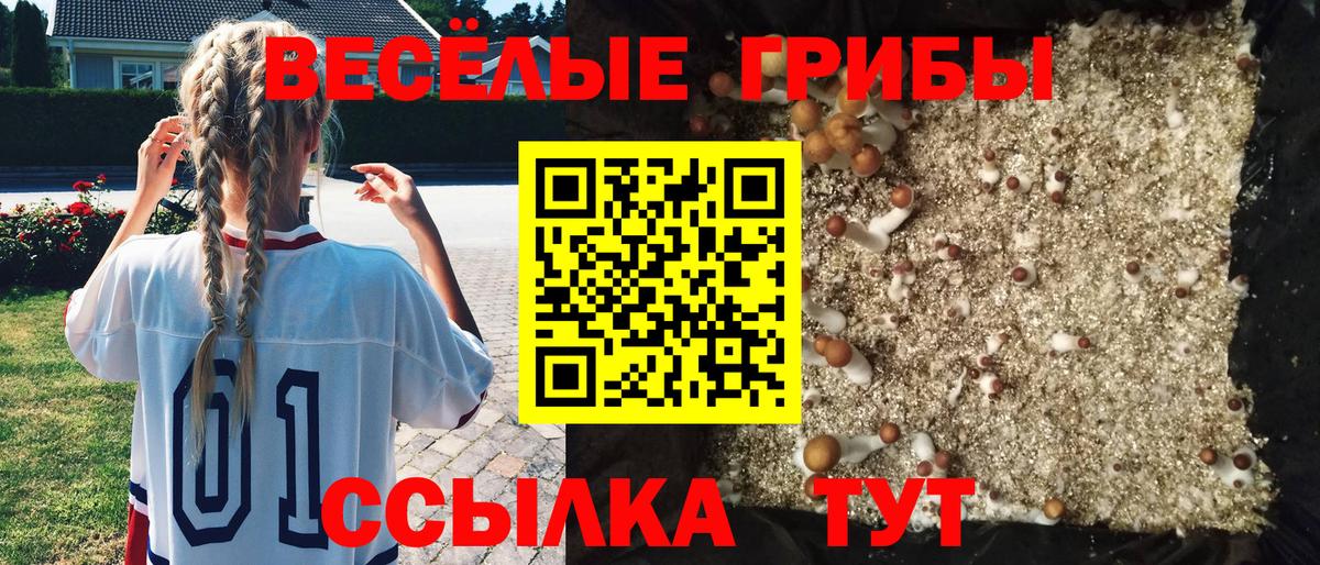 цены   Вход с VPN  Миллерово  Псилоцибиновые грибы Psilocybine cubensis 